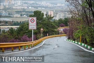 طبیعت بهاری پارک جنگلی لویزان‎  17