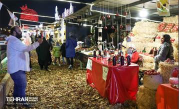 گذر یلدایی با حضور بانوان کارآفرین منطقه9