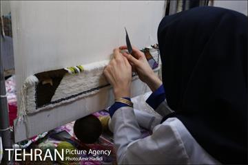 بازدیدهای شهردار تهران در جریان نظارت ستادی منطقه 14 19
