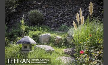 تنفس طبیعت زیبای منطقه ۷ در روزهای حضور کمرنگ شهروندان 6