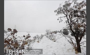 تفریحات برفی در پارک پردیسان تهران 30