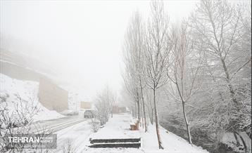 بارش برف زمستانی در تهران 33