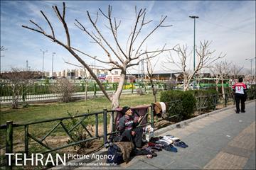 تهران، روزمرگی 12
