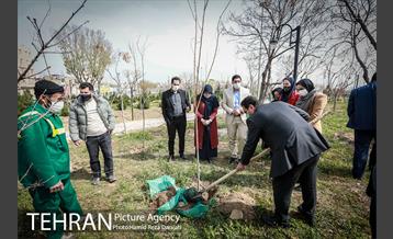 آیین درختکارى خبرنگاران در بوستان زندگى 19