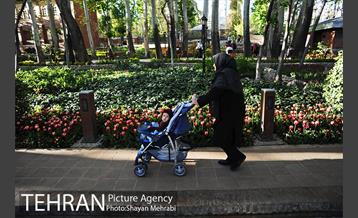 رویش گل های لاله در باغ ایرانی 15