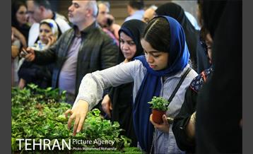 هفدهمین نمایشگاه بین‌المللی گل و گیاه 8