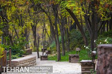 طبیعت پاییزی بوستان فدک 20