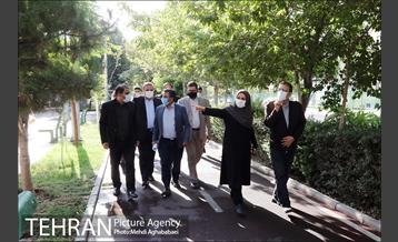 بازدید رییس سازمان بازرسی از  پروژه های منطقه هشت 1