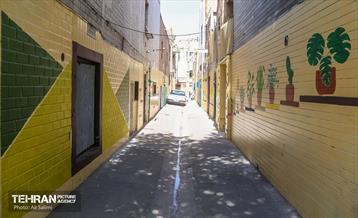 کوچه های رنگی منطقه پانزده 8