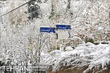 طبیعت برفی شمال تهران 8