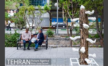 جشنواره بهارستان 15