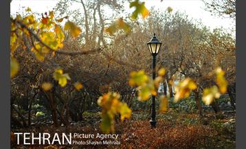 پاییز باغ ایرانی 20