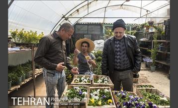 بازار گل شهید محلاتی 15