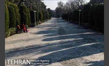 پارک ساعی 24