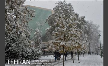 بارش اولین برف پاییزی در تهران 31