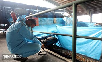 تور بازدید عکاسان از مجتمع آرادکوه 9