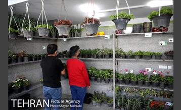 طرح گلماند در منطقه 18