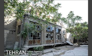 کارخانه سیمان شهر ری 17