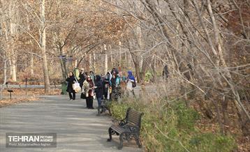 بازدید گروه های دوام مناطق از باغ گیاه شناسی ملی 9