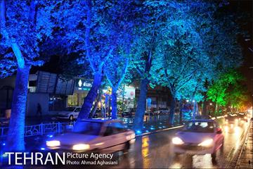 نورپردازی درختان بلوار میرداماد 3