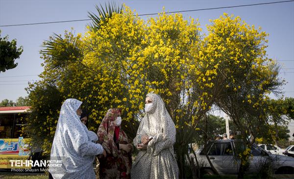 اقامه نماز عید سعید فطر در حرم عبدالعظیم الحسنی (ع) 64