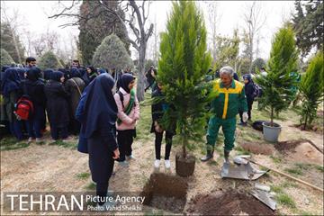 مراسم کاشت نهال در هفته منابع طبیعی (درخت فرهنگ و هنر) 28