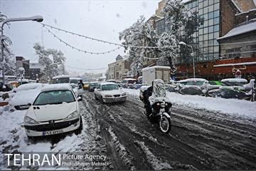 بارش برف در تجریش 12