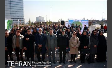 آیین درختکاری در منطقه فرهنگی و گردشگری عباس آباد  1