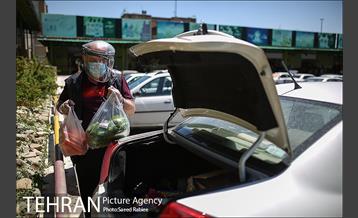 اجرای طرح فاصله گذاری اجتماعی در میدان میوه و تره بار صادقیه 30