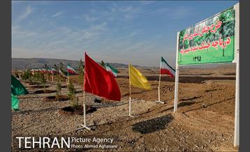 مجتمع پردازش و بازیافت زباله آراد کوه کهریزک  7