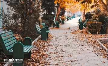 گذرگاه های پاییزی پایتخت - منطقه 9