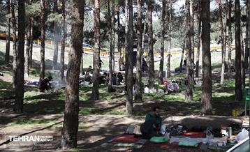 روز طبیعت در پارک جنگلی لویزان 11