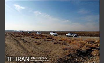 بررسی بوی نامطبوع در مسیر فرودگاه امام خمینی(ره) -2 12