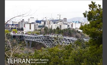 پل طبیعت در تعطیلات نوروز 29