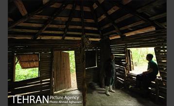 باغ گیاه‌شناسی ملی ایران 22