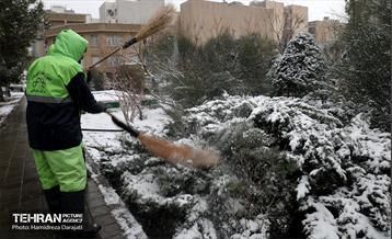 برف چهره تهران را سپیدپوش کرد 5