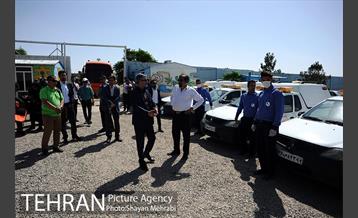 نقاهتگاه سگ های بدون صاحب واقع در آراد کوه 2