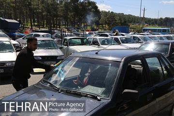 روز طبیعت در قطب گردشگری تهران‎ 3
