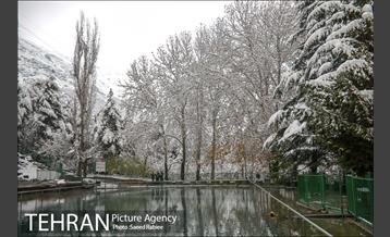 برف زمستانی پارک جمشیدیه 19