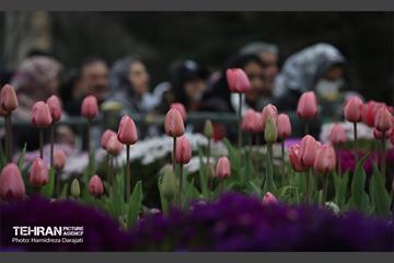 جشن بهار قرآن و طبیعت در بوستان ملت 36