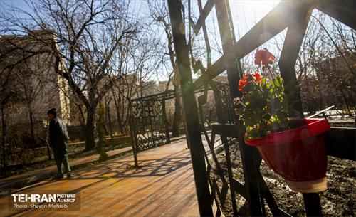 باغ گلاریس 32