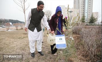 آئین روز درختکاری با حضور سفیران و نمایندگان کشورهای خارجی 11