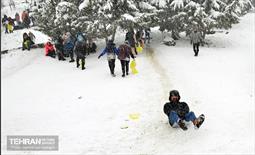 بارش برف زمستانی در منطقه 1 11