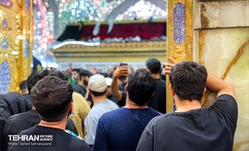 حرم مطهر امام علی (ع) در آستانه اربعین حسینی 10