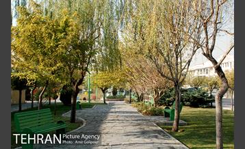 بوستان بنفشه 15