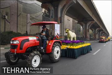 کاروان گل«استقبال از نوروز» در تهران 19