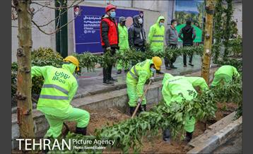 آئین کاشت درخت زندگی 39