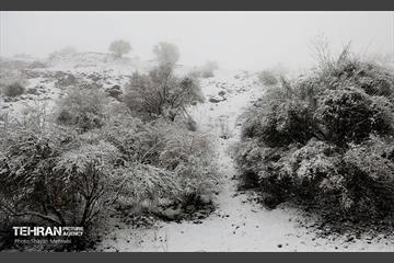 بارش برف زمستانی در تهران 15