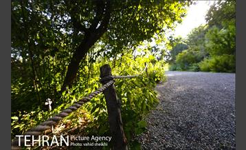 باغ گیاه شناسی ملی ایران  7