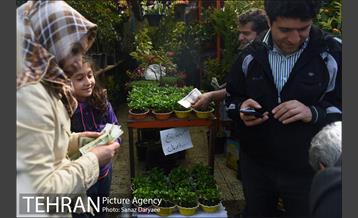 بازار گل شهید محلاتی 23